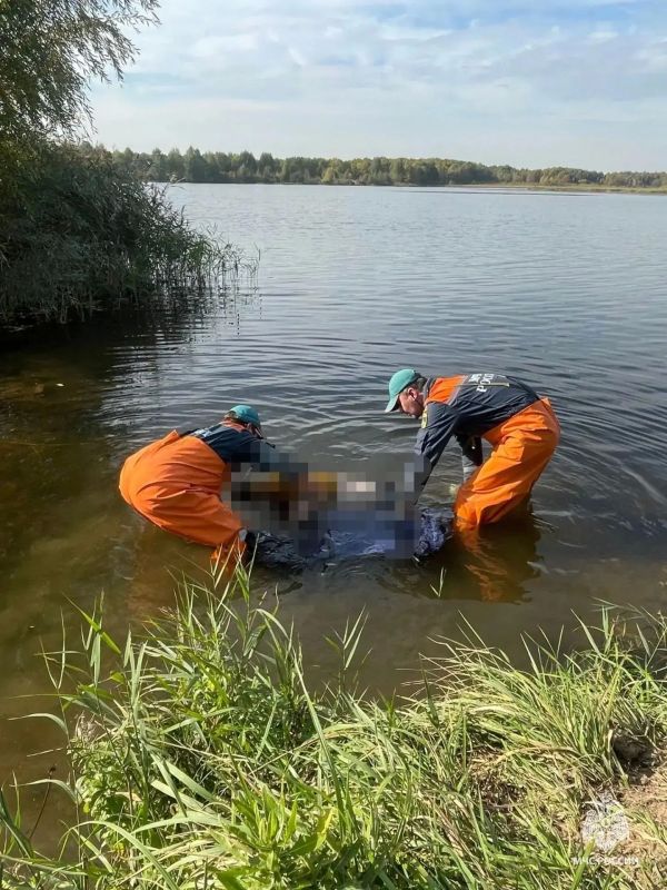 Водолазы МЧС России извлекли тело женщины Водолазы МЧС России извлекли тело женщины
