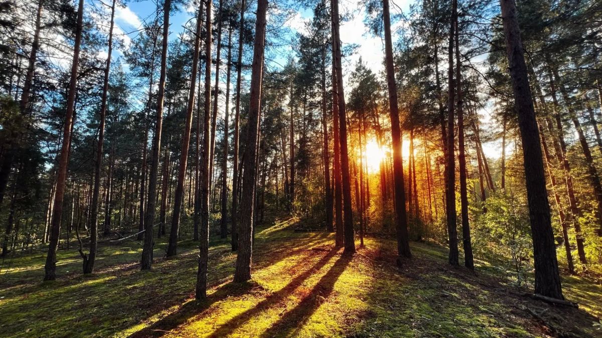 Тепло постепенно начнет покидать Нижегородский регион