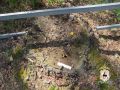В Семёнове возбуждено уголовное дело по факту незаконной рубки леса