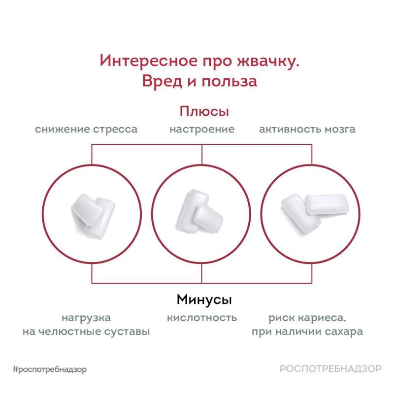 Роспотребнадзор делится интересными фактами о жевательной резинке