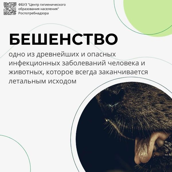 28 сентября — Всемирный день борьбы с бешенством 28 сентября — Всемирный день борьбы с бешенством