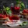 Осень и зима – время, когда наш организм особенно нуждается в поддержке