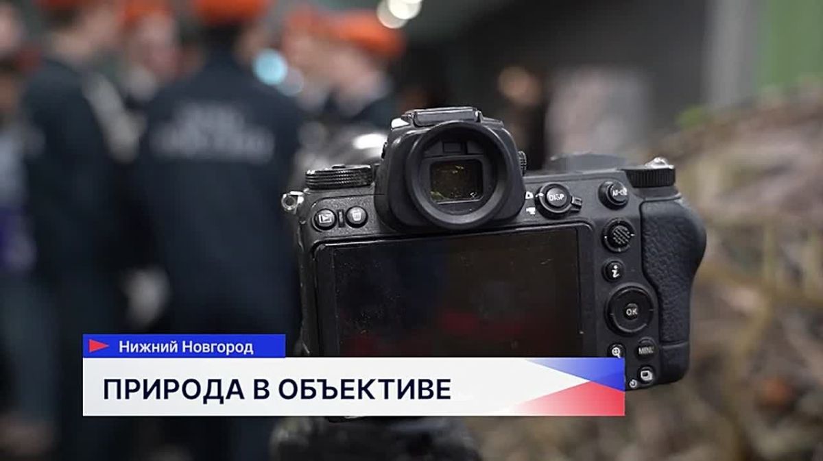 В Доме народного единства открылась выставка «Нижегородская природа»