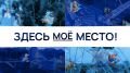 Премьерная серия проекта «Здесь моё место» — о тех, кто решил изменить свою жизнь и переехал в Нижегородскую область!