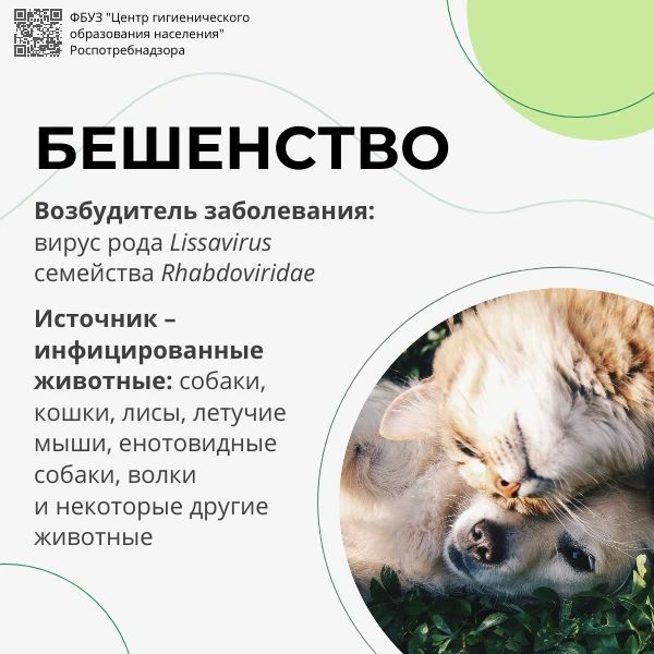 28 сентября — Всемирный день борьбы с бешенством 28 сентября — Всемирный день борьбы с бешенством