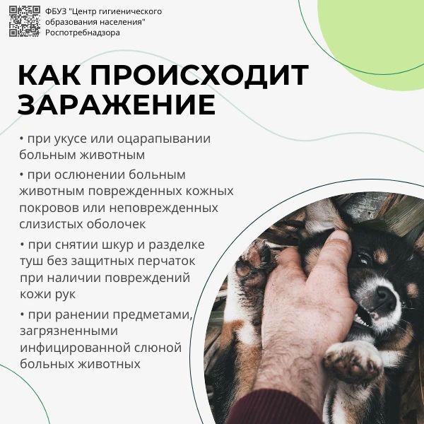 28 сентября — Всемирный день борьбы с бешенством 28 сентября — Всемирный день борьбы с бешенством