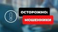 Пенсионерка из Нижнего Новгорода трижды отдавала сбережения мошенникам, называя кодовое слово «Мама»