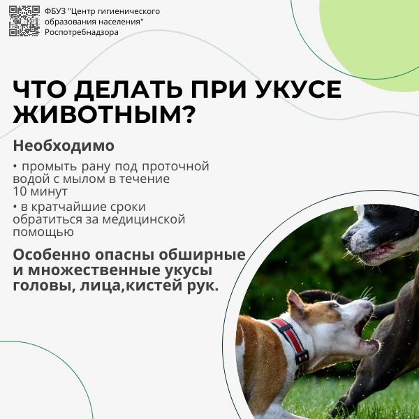 28 сентября — Всемирный день борьбы с бешенством 28 сентября — Всемирный день борьбы с бешенством