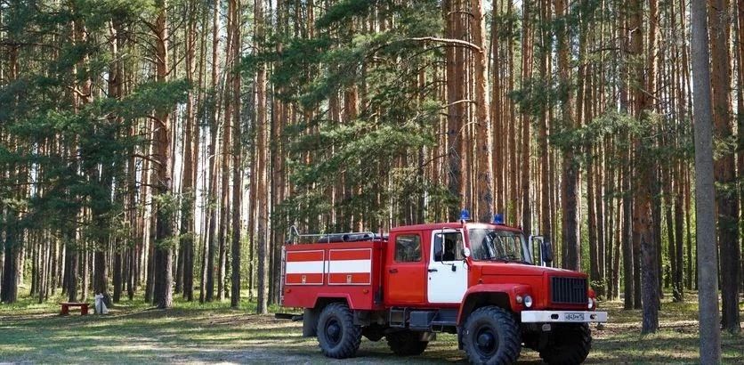 Осторожно, высокая пожароопасность лесов и торфяников!