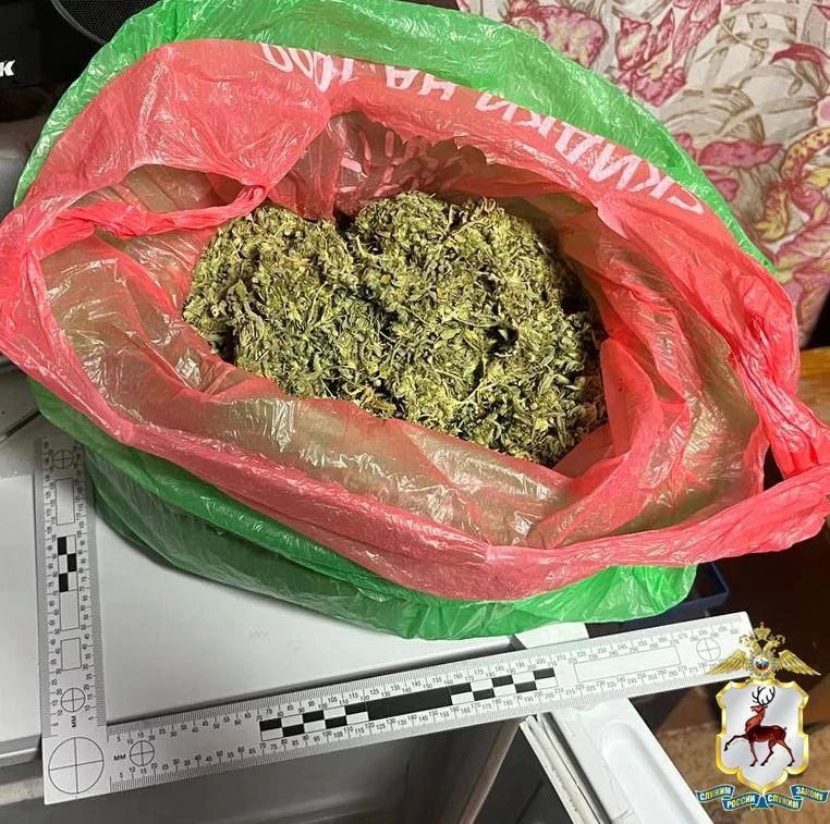 В Нижегородской области наркоаграрию вынесен приговор за выращивание конопли и хранение оружия В Нижегородской области наркоаграрию вынесен приговор за выращивание конопли и хранение оружия