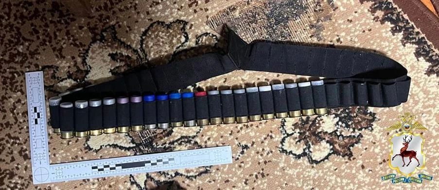 В Нижегородской области наркоаграрию вынесен приговор за выращивание конопли и хранение оружия В Нижегородской области наркоаграрию вынесен приговор за выращивание конопли и хранение оружия