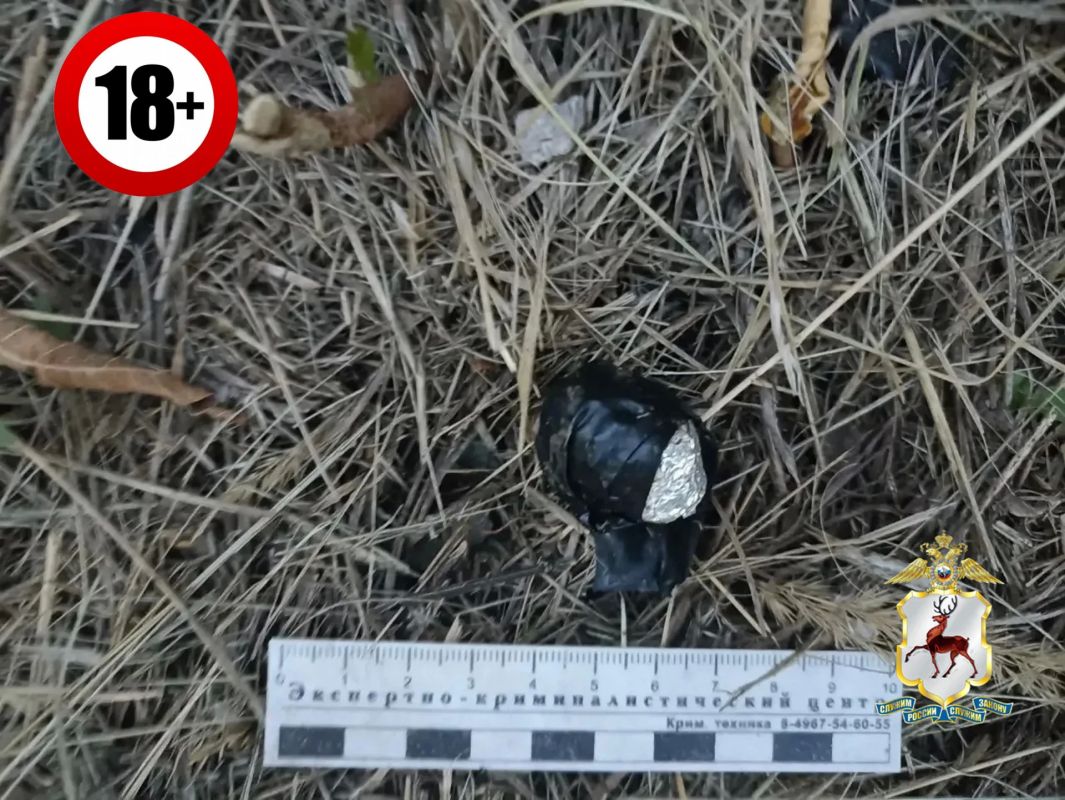Нижегородские полицейские пресекли попытку сбыта синтетического наркотика Нижегородские полицейские пресекли попытку сбыта синтетического наркотика