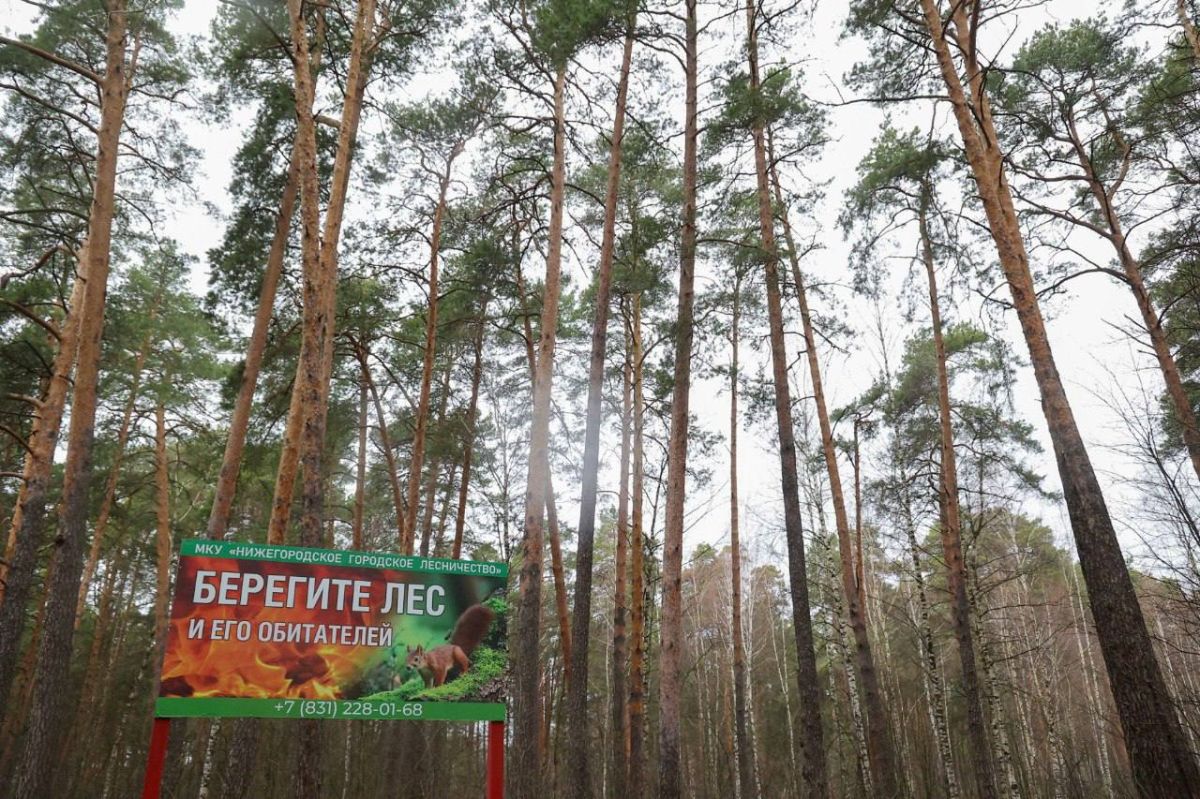 Напоминаем, что с 3 по 6 октября местами по Нижегородской области ожидается высокая (4 класс) пожароопасность лесов и торфяников