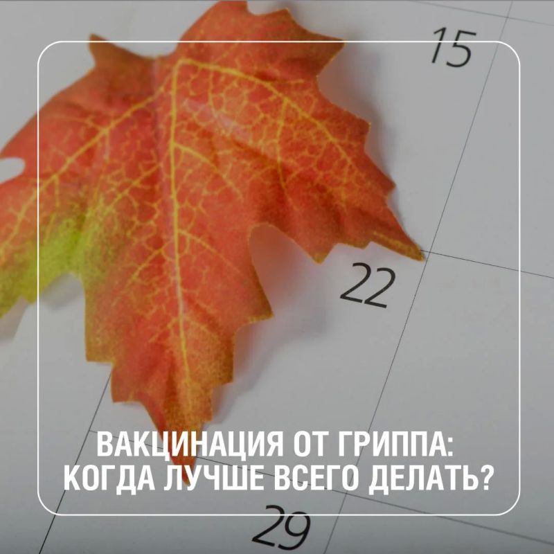 Когда лучше всего вакцинироваться от гриппа? Осенью! Это связано с особенностями формирования иммунного ответа: для выработки надежной защиты организму требуется около двух-трех недель
