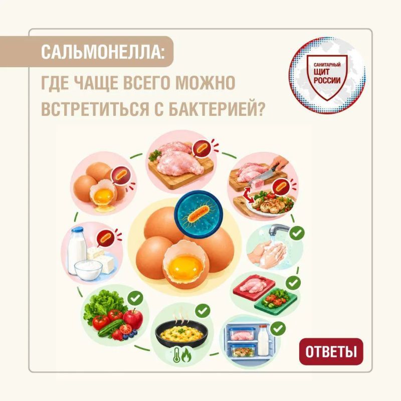 Ответы:. 1 Верно. Сальмонелла может присутствовать в сырых яйцах и продуктах из них