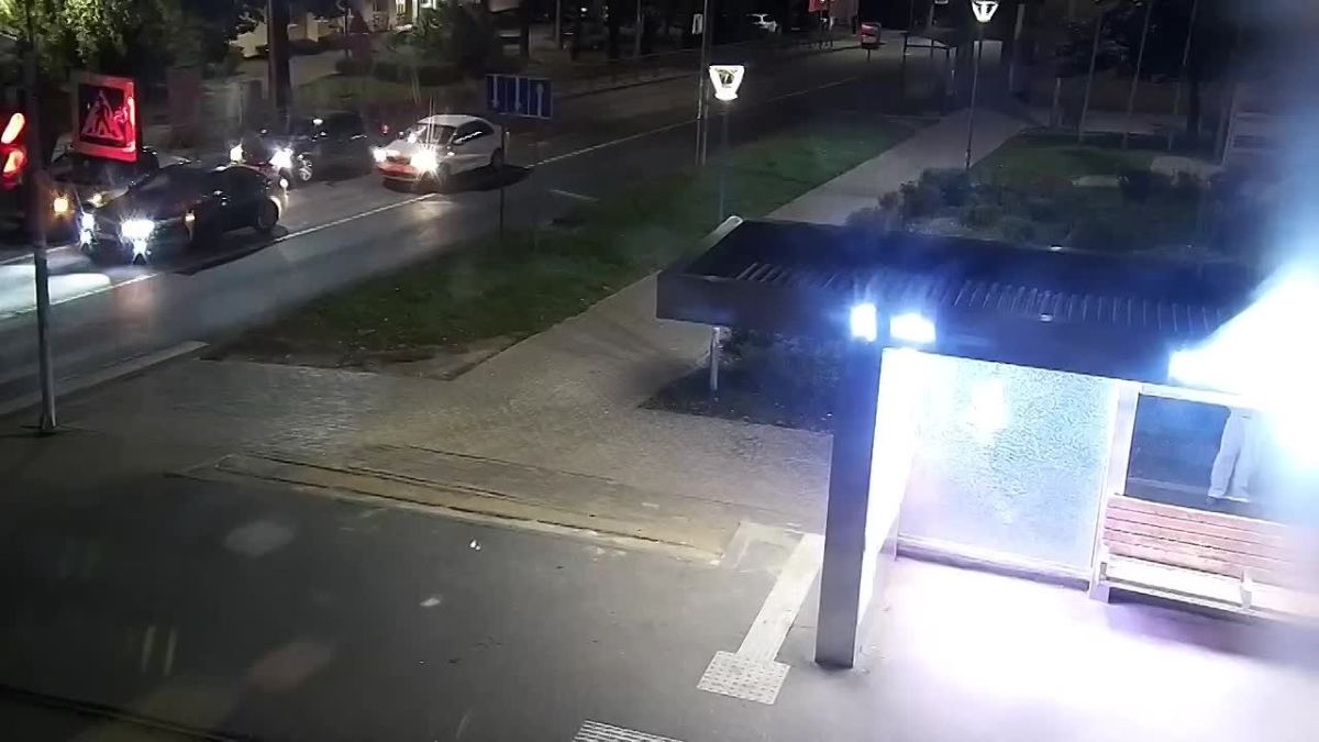 Юрий Шалабаев: Правильно вчера написал губернатор Глеб Никитин, цитируя профессора Преображенского, что разруха не в клозетах, а в головах