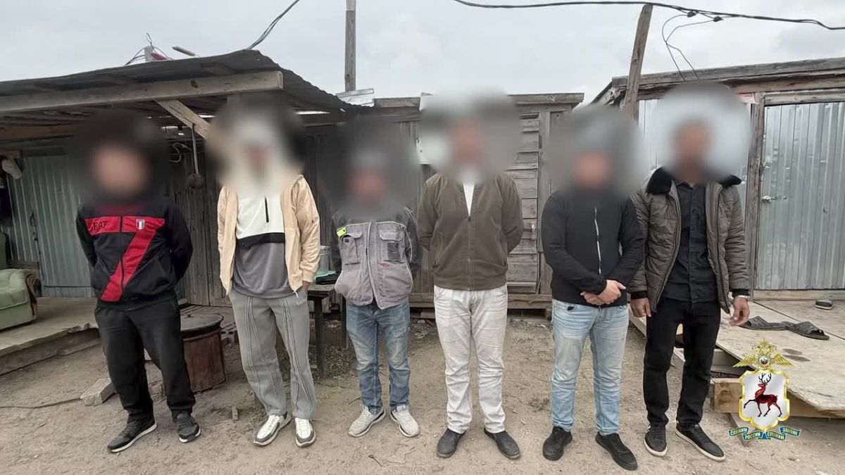 В Кстово полицейские пресекли организацию незаконной миграции