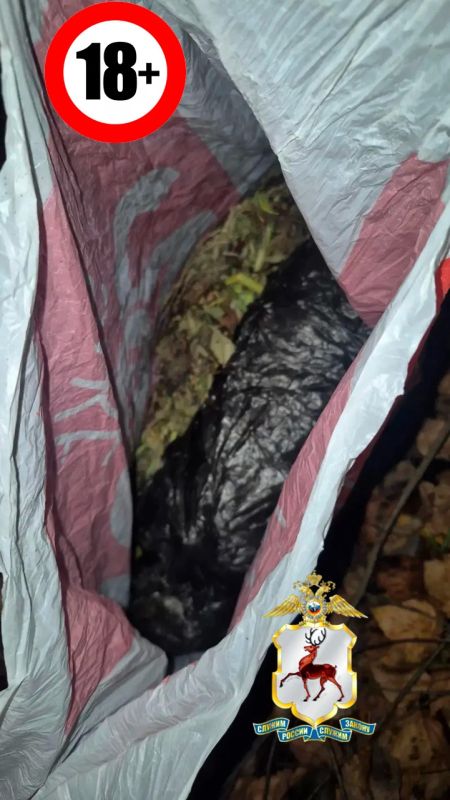 В Выксе полицейские задержали электромонтёра за незаконный оборот наркотиков В Выксе полицейские задержали электромонтёра за незаконный оборот наркотиков