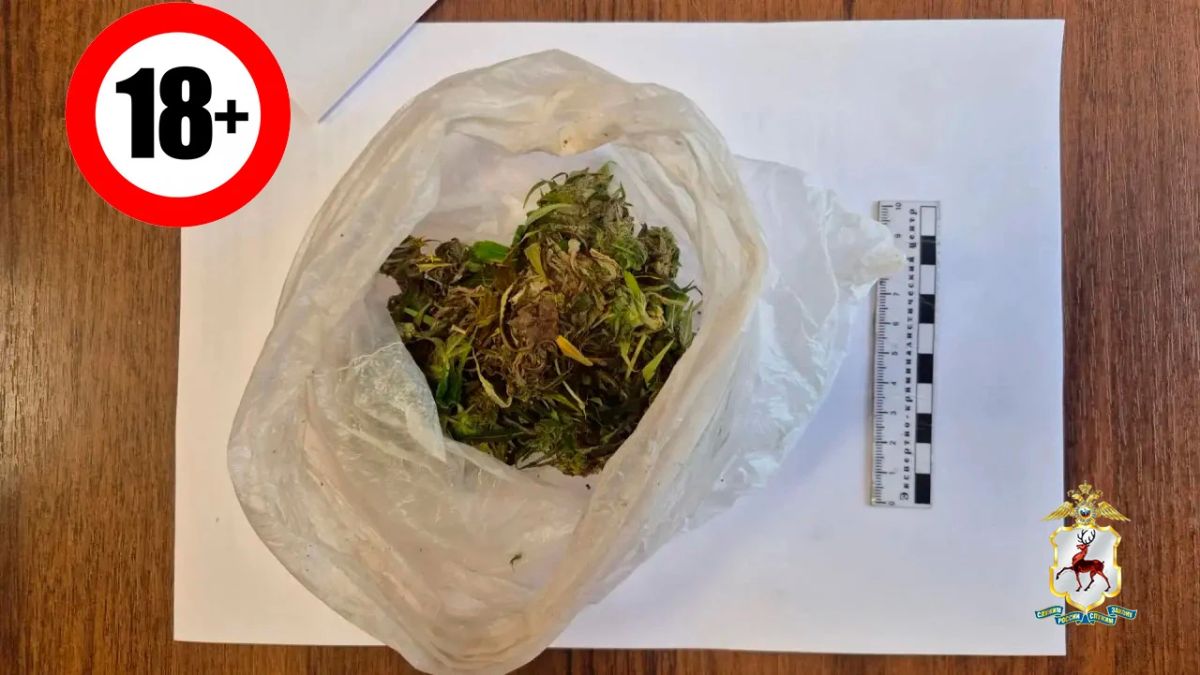 В Выксе полицейские задержали электромонтёра за незаконный оборот наркотиков В Выксе полицейские задержали электромонтёра за незаконный оборот наркотиков
