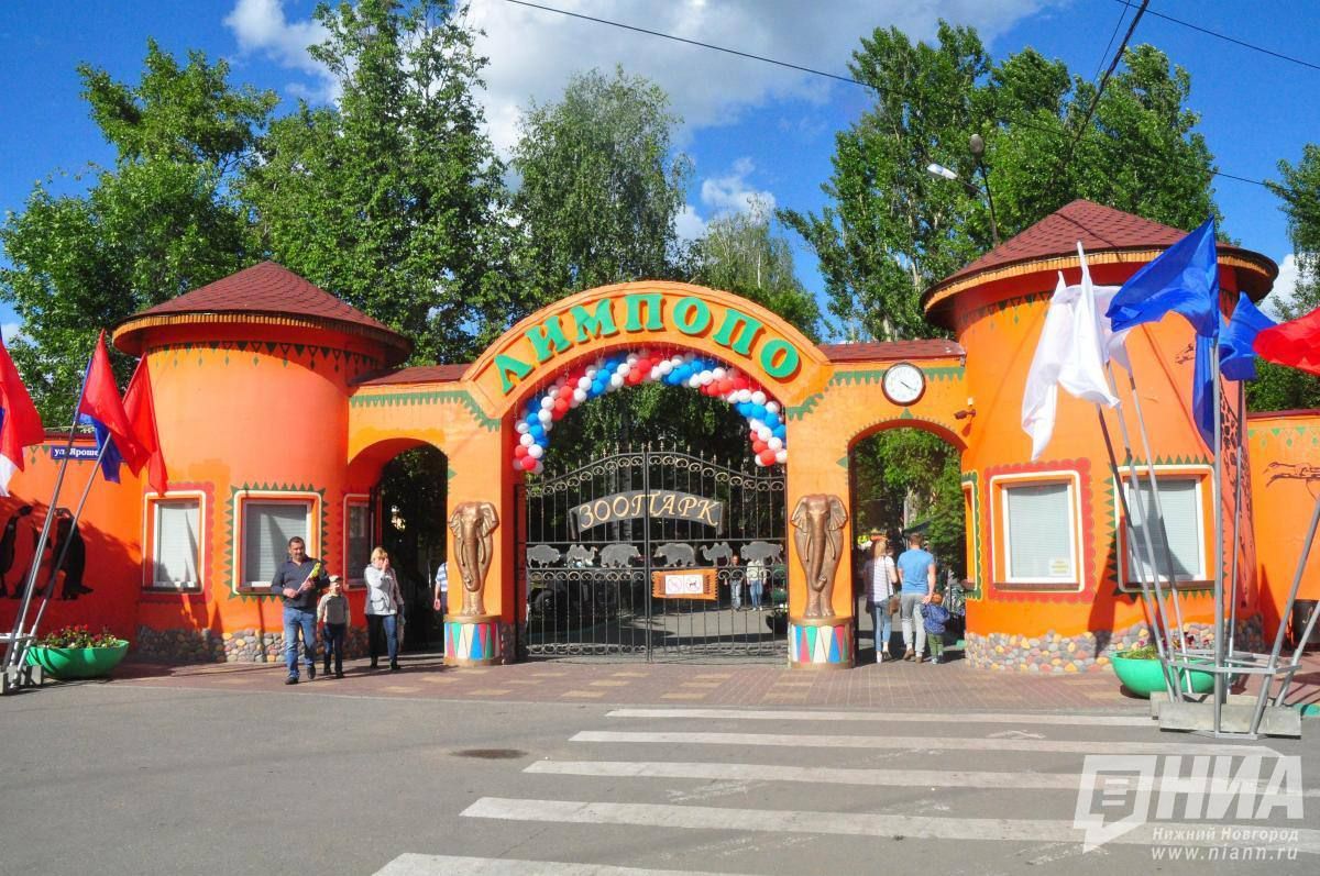 Минсоцразвития попросит «Лимпопо» вернуть льготы для многодетных семей