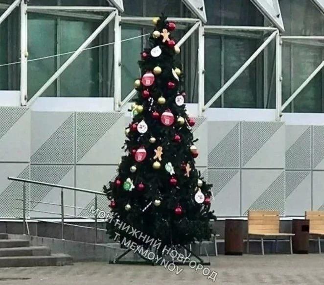 Кажется, началось — в Нижнем заметили первую новогоднюю ёлку