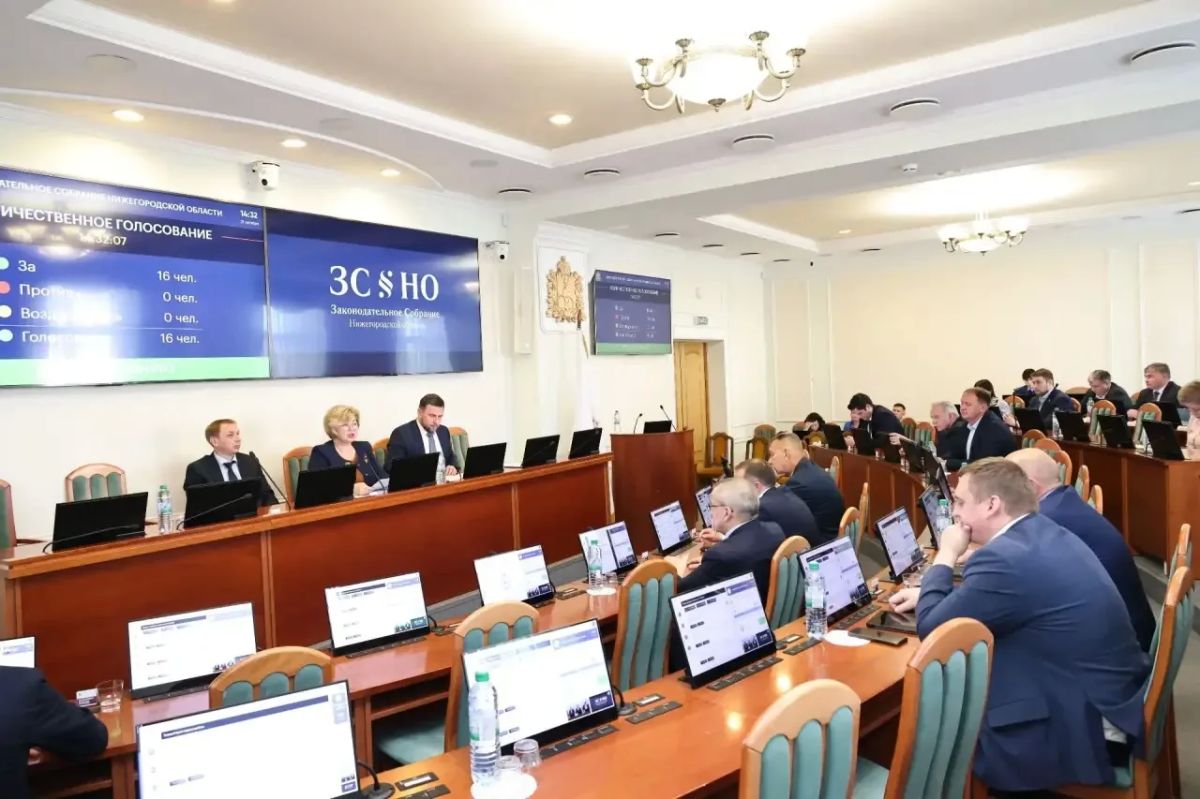 В Нижегородской области может появиться «День поисковика»