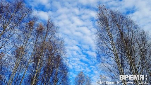 Беспилотники сбили над Нижегородской областью ночью 23 октября