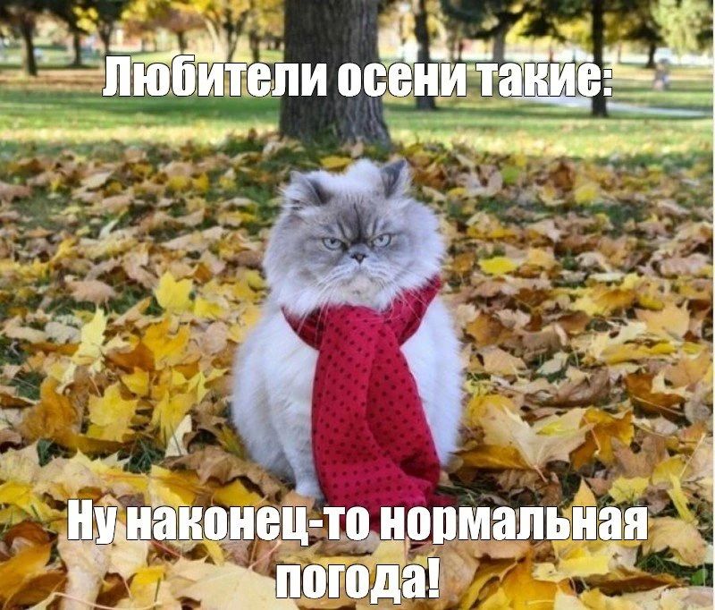 Выходные в Нижнем Новгороде обещают быть без дождей, но прохладными