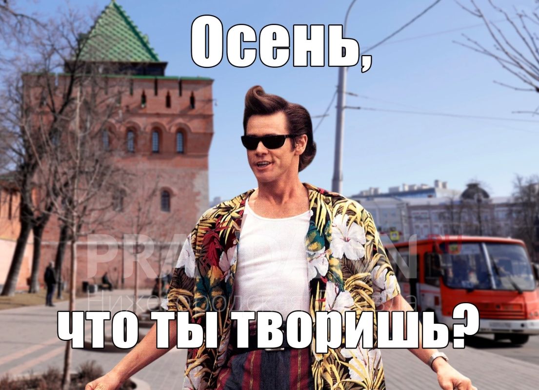 Ох и балует нас октябрь в этом году! Последняя неделя месяца обещает быть тёплой и солнечной