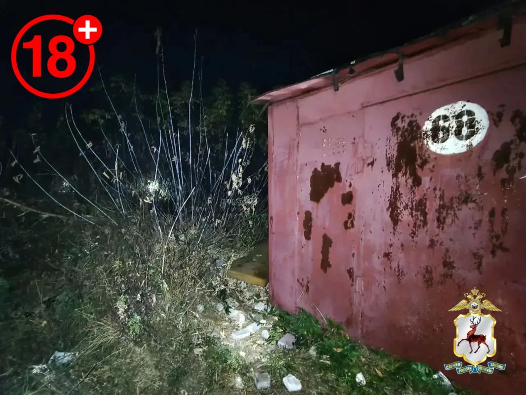 «Молодо и зелено»: растительный наркотик обнаружили наркополицейские у двоих нижегородцев «Молодо и зелено»: растительный наркотик обнаружили наркополицейские у двоих нижегородцев